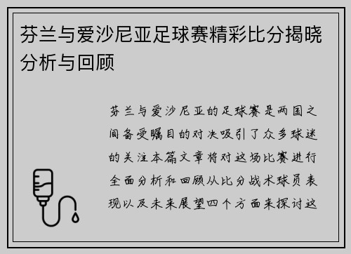 芬兰与爱沙尼亚足球赛精彩比分揭晓分析与回顾