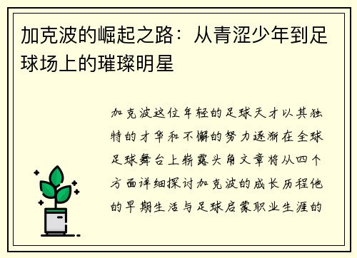 加克波的崛起之路：从青涩少年到足球场上的璀璨明星